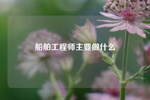 船舶工程师主要做什么