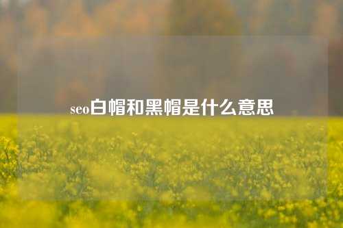 seo白帽和黑帽是什么意思