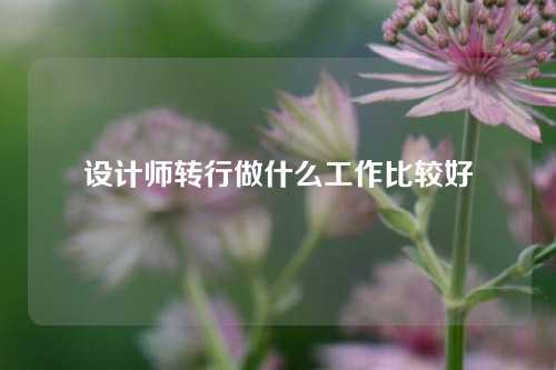 设计师转行做什么工作比较好