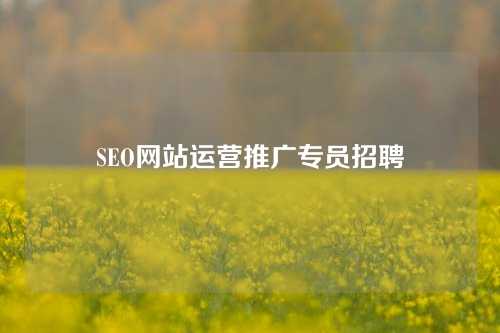 SEO网站运营推广专员招聘