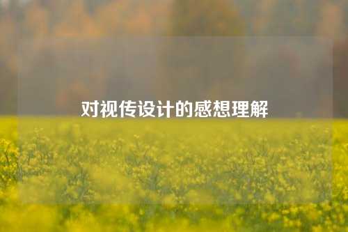 对视传设计的感想理解