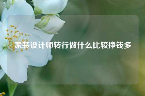 家装设计师转行做什么比较挣钱多