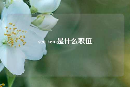 seo sem是什么职位