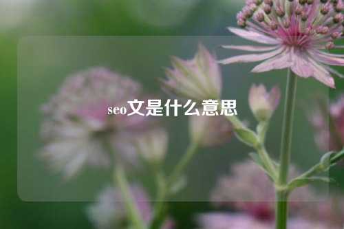 seo文是什么意思