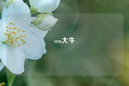 seo大牛