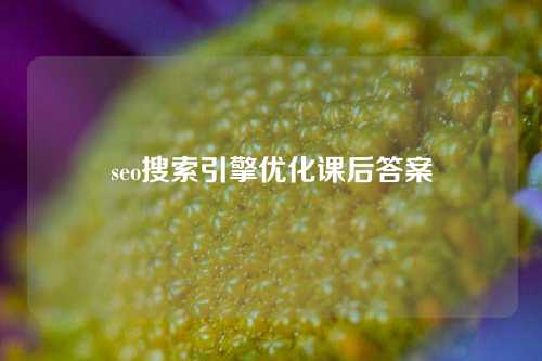 seo搜索引擎优化课后答案