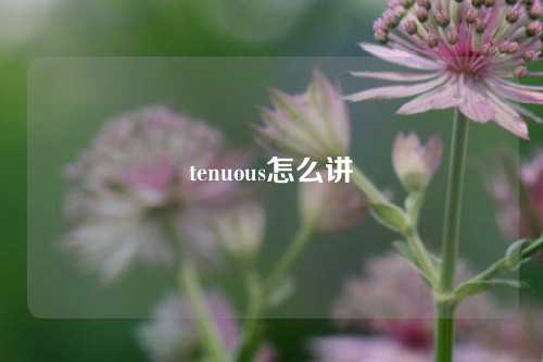 tenuous怎么讲