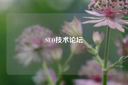 SEO技术论坛