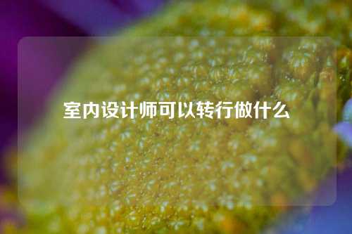 室内设计师可以转行做什么