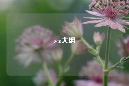 seo大纲