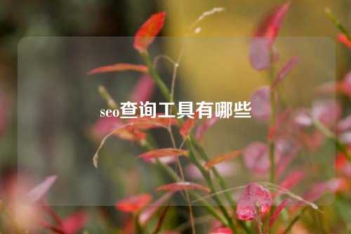 seo查询工具有哪些