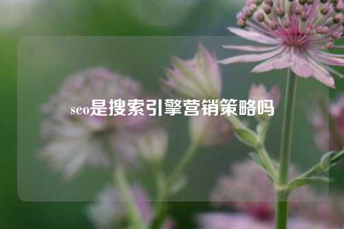 seo是搜索引擎营销策略吗