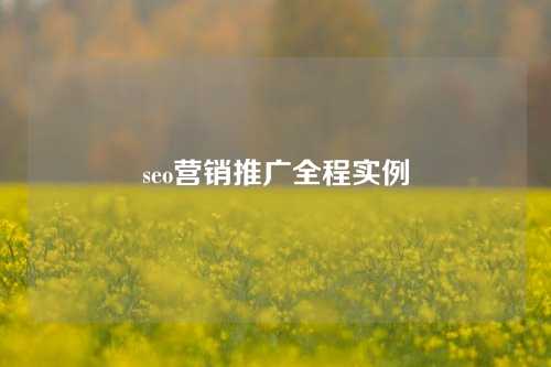 seo营销推广全程实例