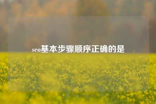 seo基本步骤顺序正确的是