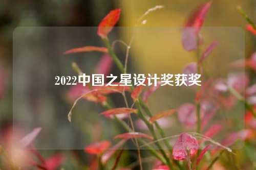 2022中国之星设计奖获奖