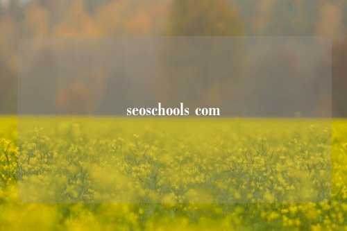 seoschools com