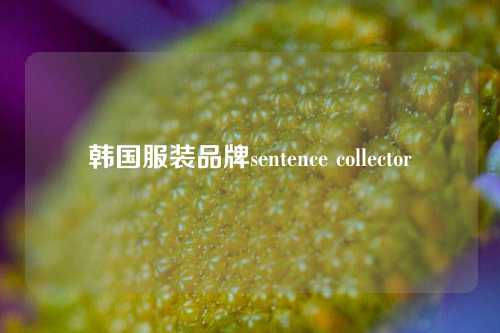 韩国服装品牌sentence collector