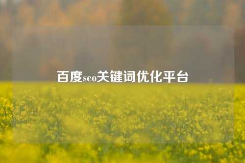 百度seo关键词优化平台