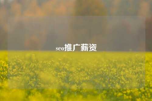 seo推广薪资