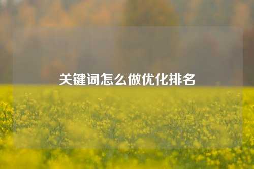 关键词怎么做优化排名