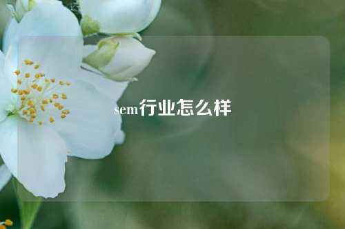 sem行业怎么样