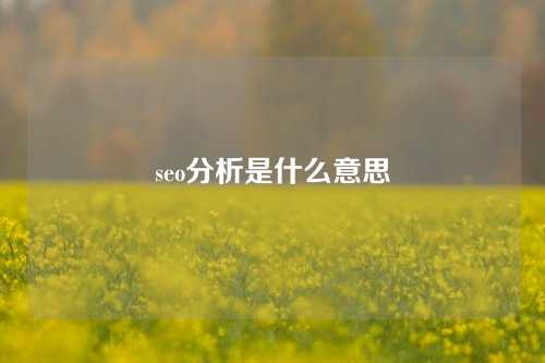 seo分析是什么意思