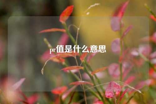 pr值是什么意思