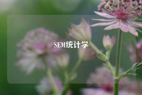 SEM统计学