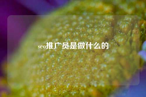 seo推广员是做什么的