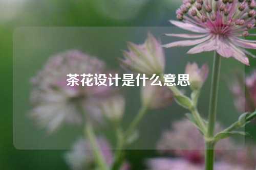 茶花设计是什么意思