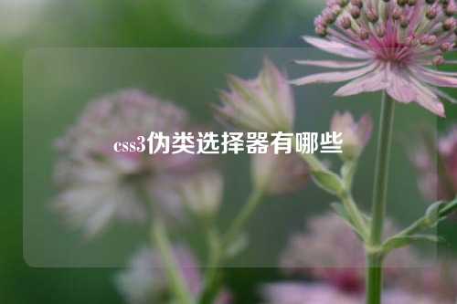 css3伪类选择器有哪些