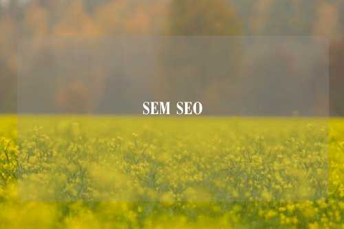 SEM SEO