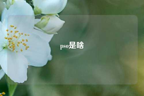 pso是啥