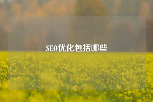 SEO优化包括哪些