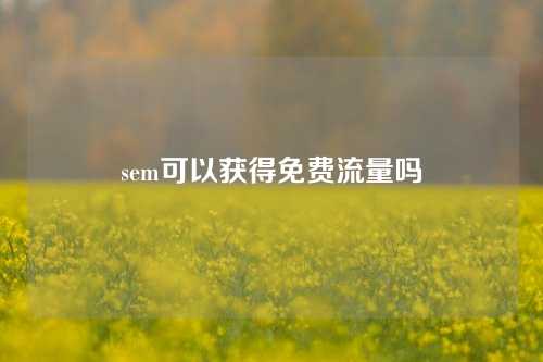 sem可以获得免费流量吗