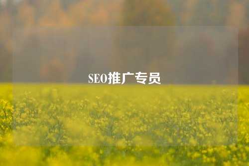 SEO推广专员