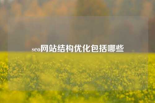 seo网站结构优化包括哪些