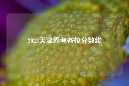 2023天津春考各校分数线