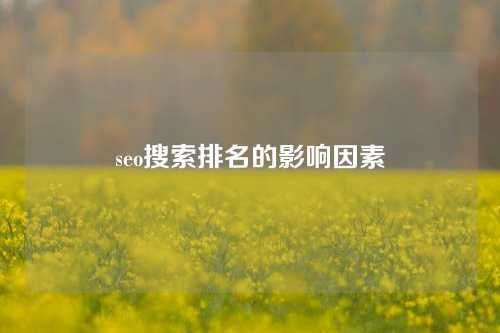 seo搜索排名的影响因素