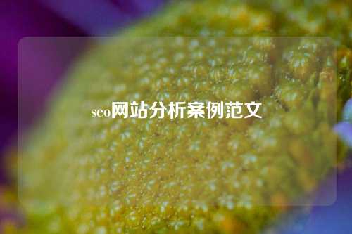 seo网站分析案例范文