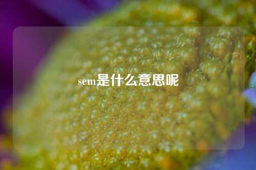 sem是什么意思呢