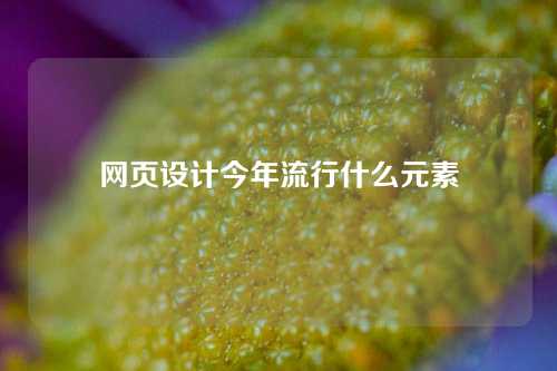 网页设计今年流行什么元素