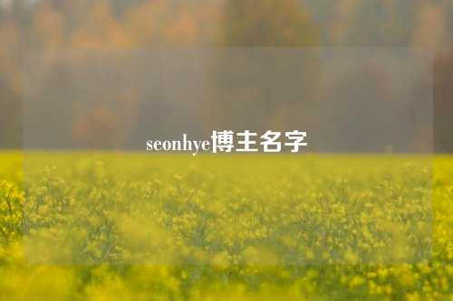 seonhye博主名字