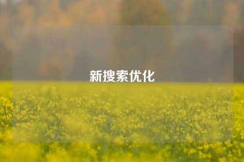 新搜索优化