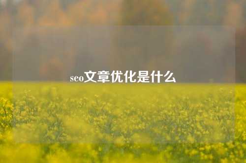 seo文章优化是什么