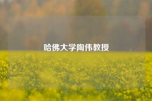 哈佛大学陶伟教授