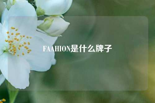 FAAHION是什么牌子