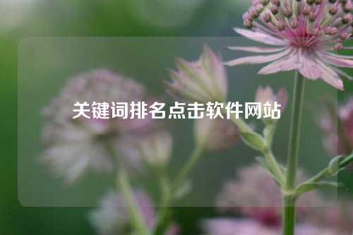 关键词排名点击软件网站