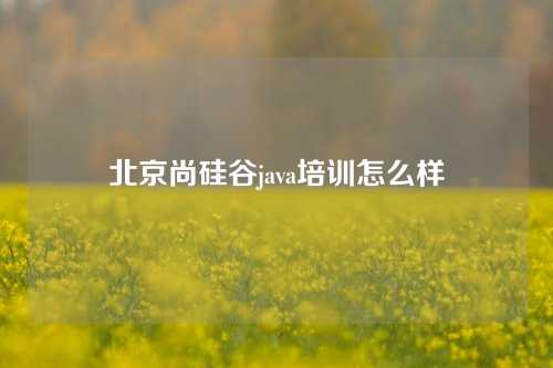 北京尚硅谷java培训怎么样