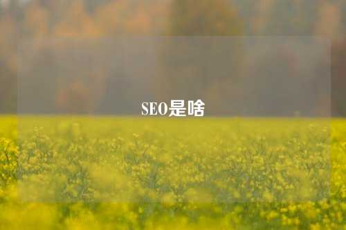 SEO是啥